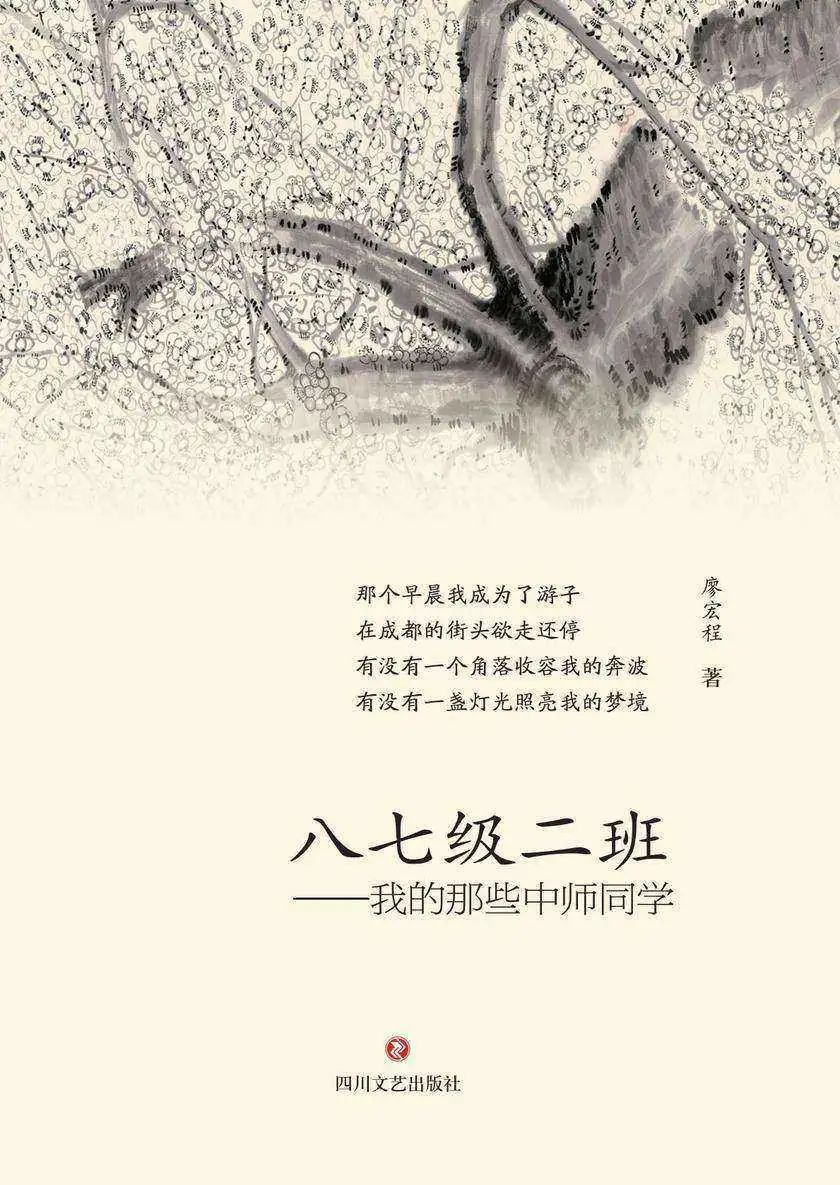 《八七级二班∶我的那些中师同学》